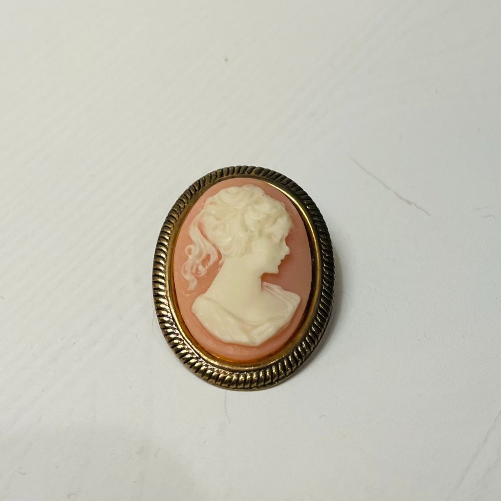 Vintage cameo brooch pin